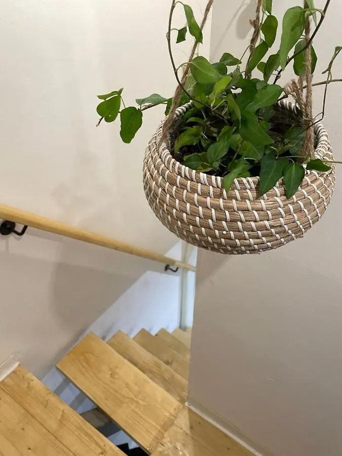 Appartement Rosalia Loft, Nel Cuore Di Ballaro A Palerme